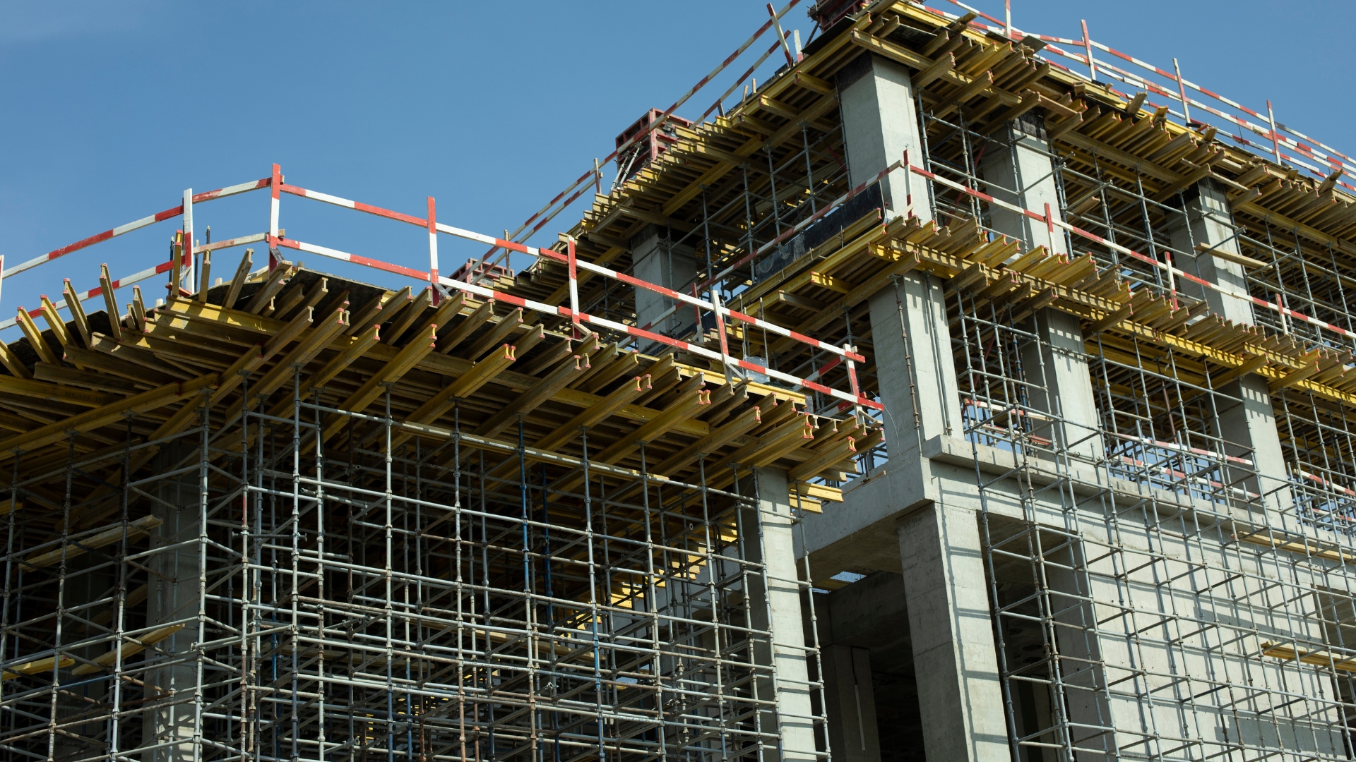 Untitled design (24)